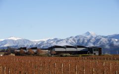 Spy Valley Spy HQ Winery Image