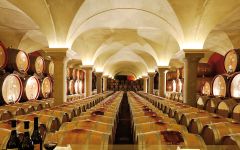 Zeni Zeni Cellars Winery Image