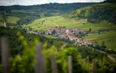 Domaine Roux Pere & Fils Chassagne-Montrachet 2022 | Wine.com