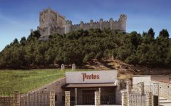 Bodegas Protos Protos Winery Winery Image
