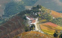 Quinta do Crasto Winery Image