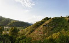 Bisol The Prosecco hills Winery Image