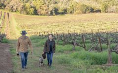 Far Mountain Mai Errazuriz and Rodrigo Soto Winery Image