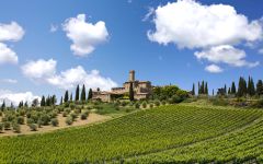 Castello Banfi Castello Banfi Winery Image