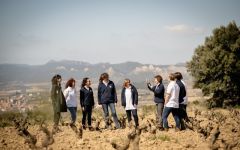 Cune Winery Image