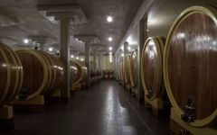 Altesino Winery Image