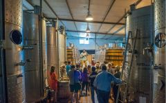 Macanita Macanita Winery Image