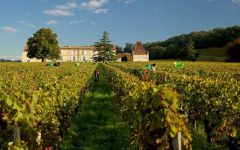 Chateau Lassegue Wine - Learn About & Buy Online | Wine.com