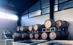 Sutro Wine Co.  Winery Image