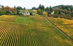 Bergstrom Bergstrom Vineyard Winery Image