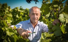 Albert Bichot Meursault 2023 | Wine.com