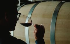 Paul Hobbs Paul Hobbs in the Barrel Room Winery Image