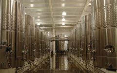 Los Ailos  Winery Image