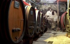 Hugel Winery Image