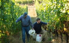 Bergstrom Bergstrom Harvest Winery Image