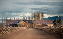 Susana Balbo Susana Balbo Winery Winery Image