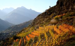 Les Cretes  Winery Image