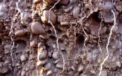 Almaviva Exceptional Terroir Winery Image
