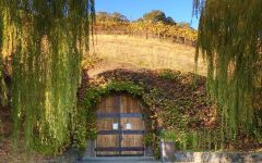 Saracina Vineyards Saracina Vineyards Wine Cave Winery Image
