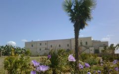 Masseria Li Veli Winery Image