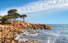 Cape Mentelle Winery Image