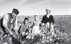 Emilio Moro Emilio Moro Family Winery Image