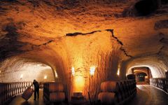 Vinedos de Paganos Winery Image