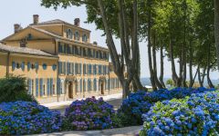 Chateau d'Esclans Chateau d'Esclans Winery Image