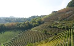 Rocca Giovanni Sustainability Winery Image