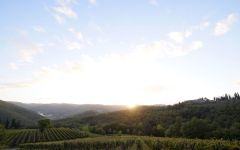 Il Molino di Grace  Winery Image
