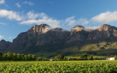 Rupert & Rothschild Rupert & Rothschild Vineryards Winery Image