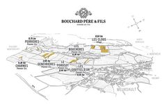 William Fevre La Vignoble de Meursault Winery Image