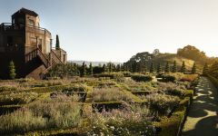 Newton Vineyard Winery Image