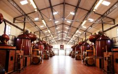 Hennessy Hennessy Distillery Winery Image