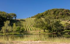 Bonterra Winery Image