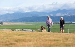 Spy Valley Amanda & Bryan Johnson Winery Image