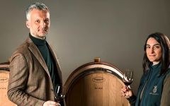 Ornellaia 2010 | Wine.com