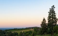 Lemelson Meyer Vineyard, Dundee Hills AVA  Winery Image