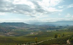 Marques de Murrieta Castillo de Ygay Valley Winery Image