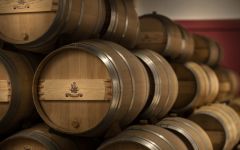 Chateau Giscours Cellar Winery Image