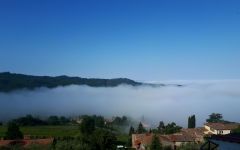 Lamole di Lamole  Winery Image