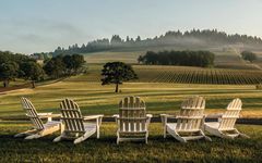 Stoller Family Estate View from Tasting Room Winery Image