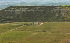 Villota Aerial View Winery Image