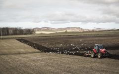 Bruichladdich Barley Fields Winery Image