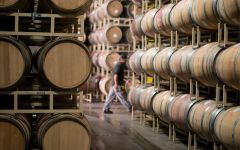 Angeline Angeline Barrel Room Winery Image
