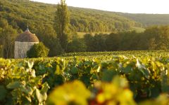 Cave de Lugny Iconic tower in Les Charmes Vineyard Winery Image
