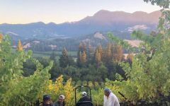 Joel Gott Gott Vineyards Winery Image