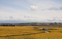 Villa Maria Hawkes Bay Winery Image