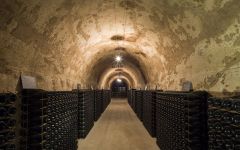 Champagne Palmer Winery Image