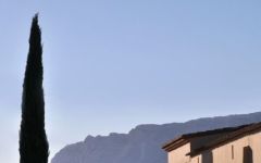 Avaline Mas de Cadenet - Rose Winery Image